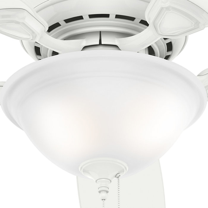 Hunter Fan 44" Auberville 5Blade Ceiling Fan & Reviews Wayfair